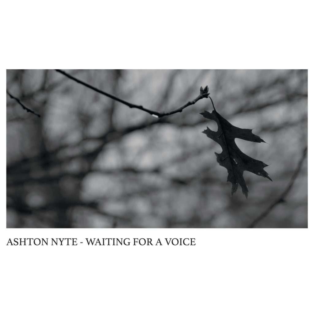 Ashton Nyte Waiting for a Voice